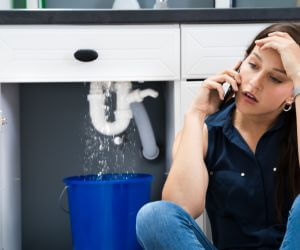 About Plumbers Pros Rebuck, PA